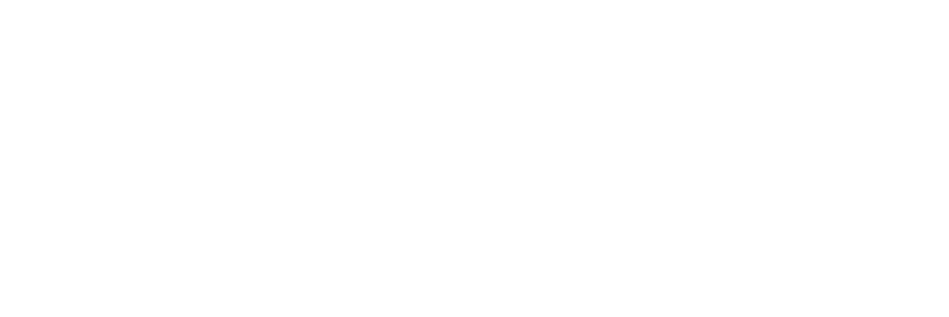 Gasolina University